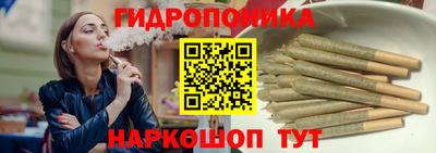 гашик Кулебаки