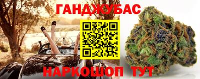 гашик Кулебаки